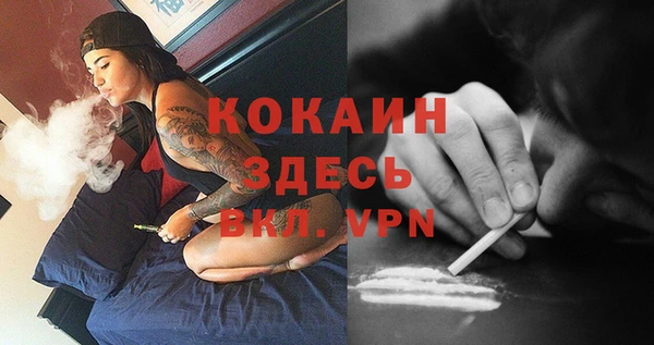 крисы Богданович