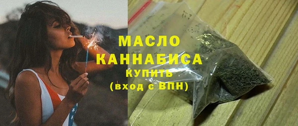 крисы Богородск